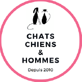 chat chiens et hommes