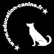 julia deubel education canine