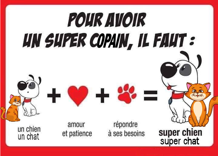 Super copain
