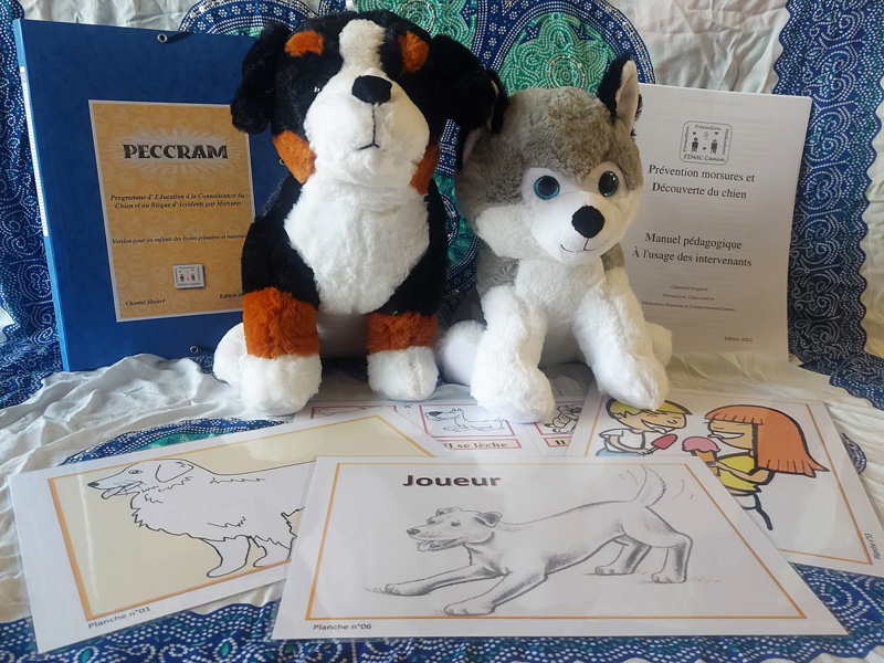 peluches chiens